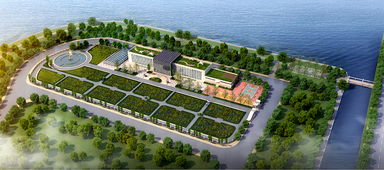 青島海水稻研發中心揭牌，首代稻種預計11月問世，技術開發引領農業新篇章