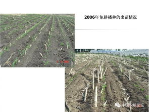輕簡型免耕播種機(jī)的技術(shù)革新與種植應(yīng)用——播種機(jī)械化發(fā)展研討會(huì)專題報(bào)告